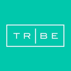 tribe influencer marketing platform