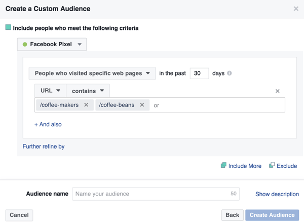 facebook custom audience webpage visitor