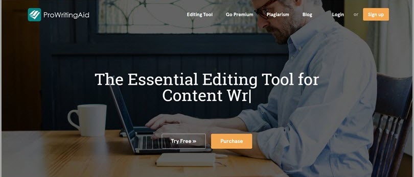 ProWriting Aid Proofreading Tools