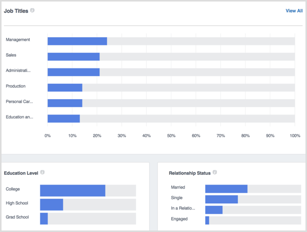 facebook-analytics-people-demographics