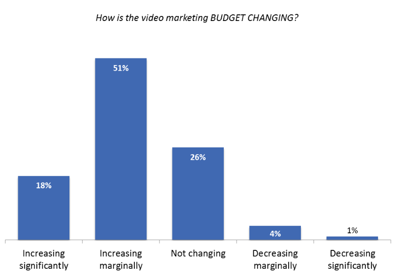 video marketing budget