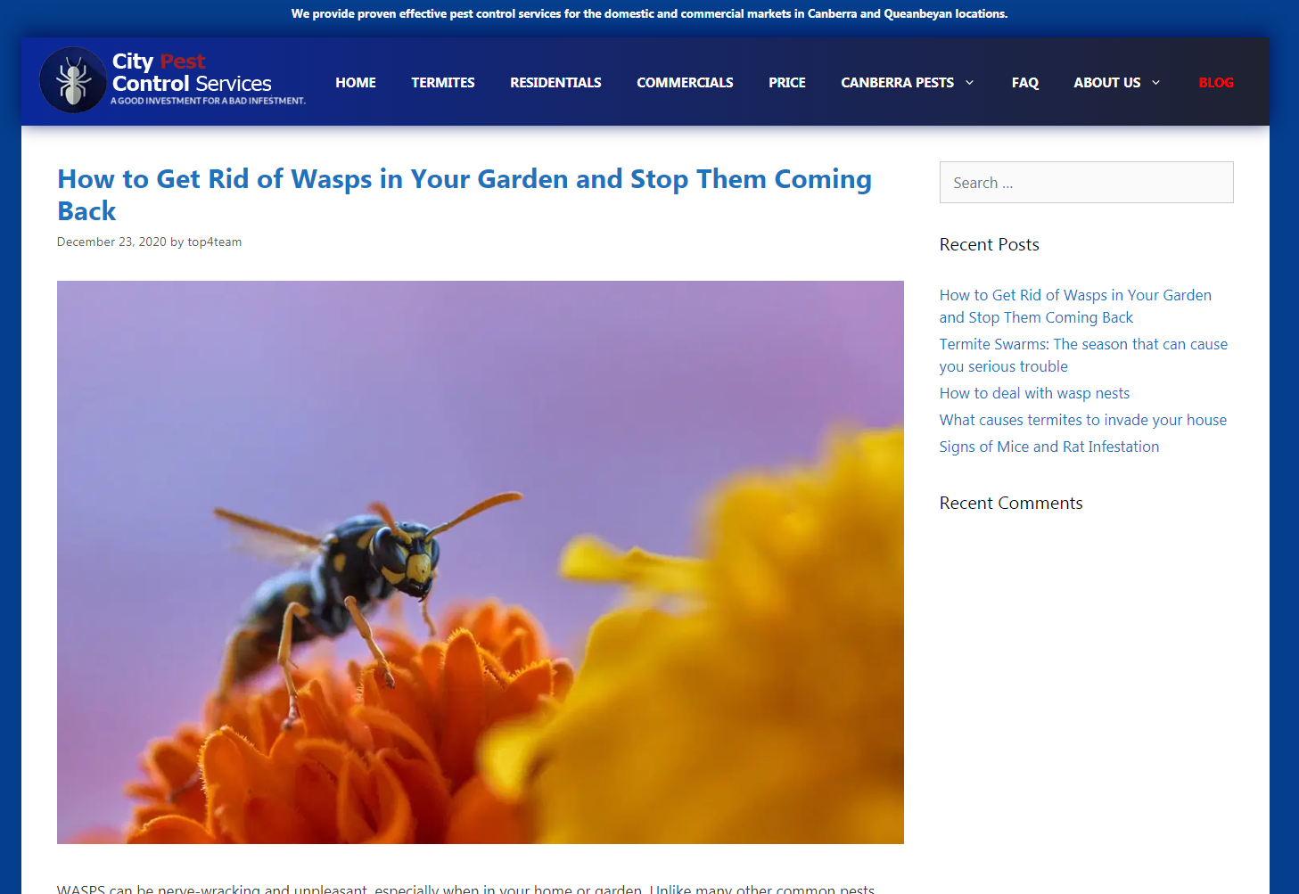 City Pest Control Blog - Top4 Marketing