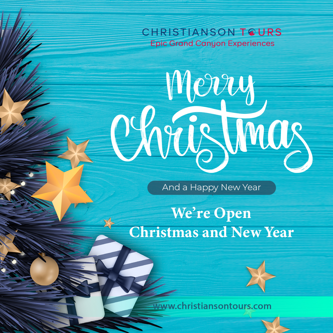 Merry Christmas and Happy New Year!