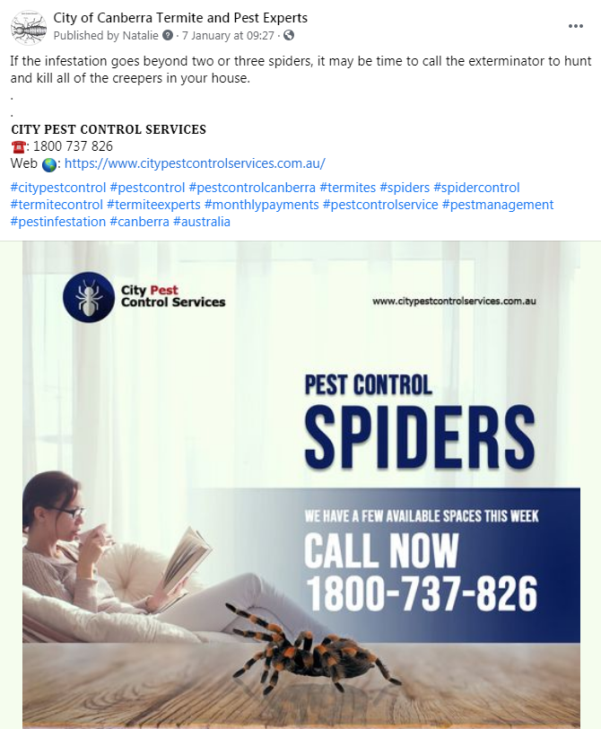 City Pest Control - Facebook Post - Top4 Marketing