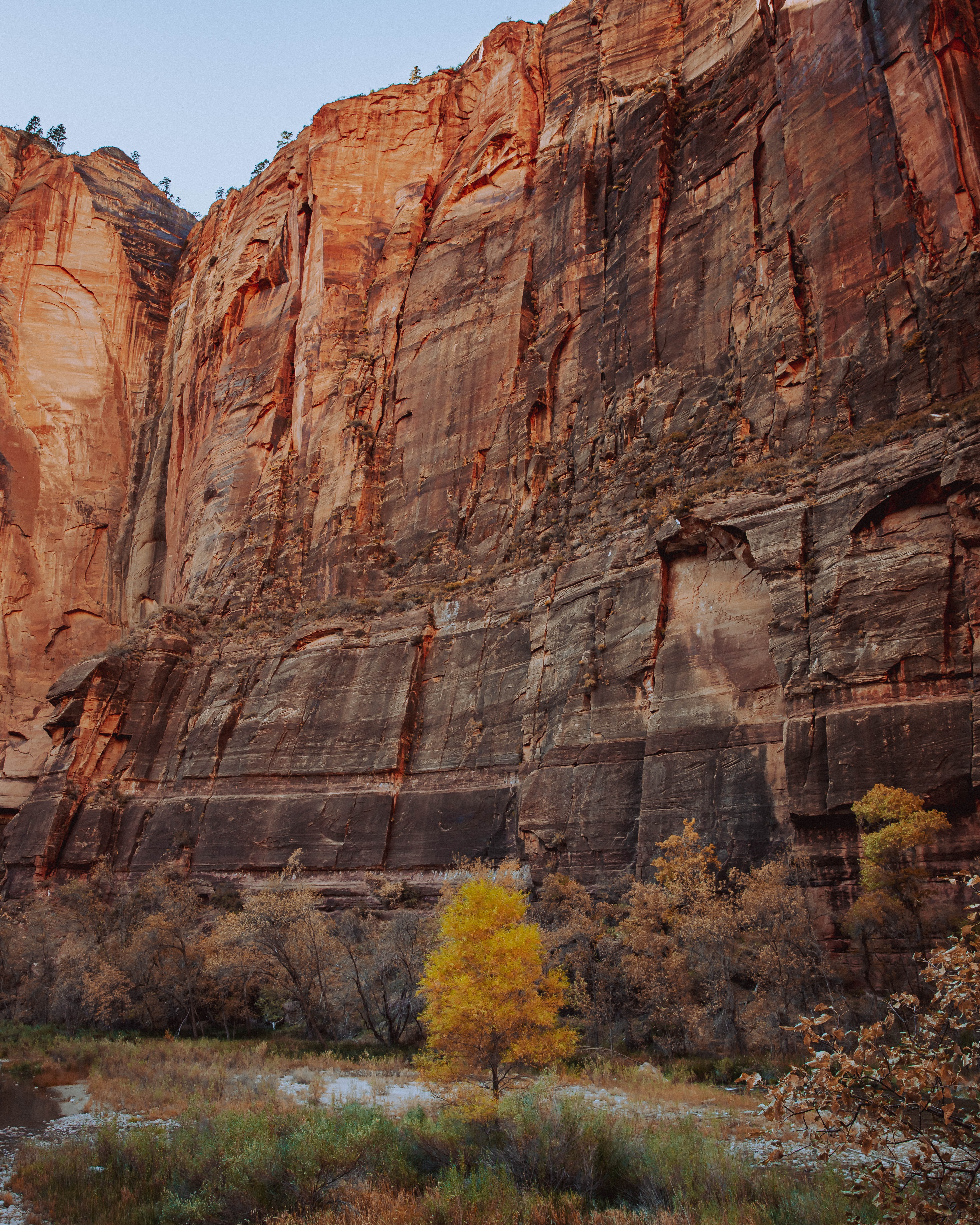 Big walls on Zion National Park