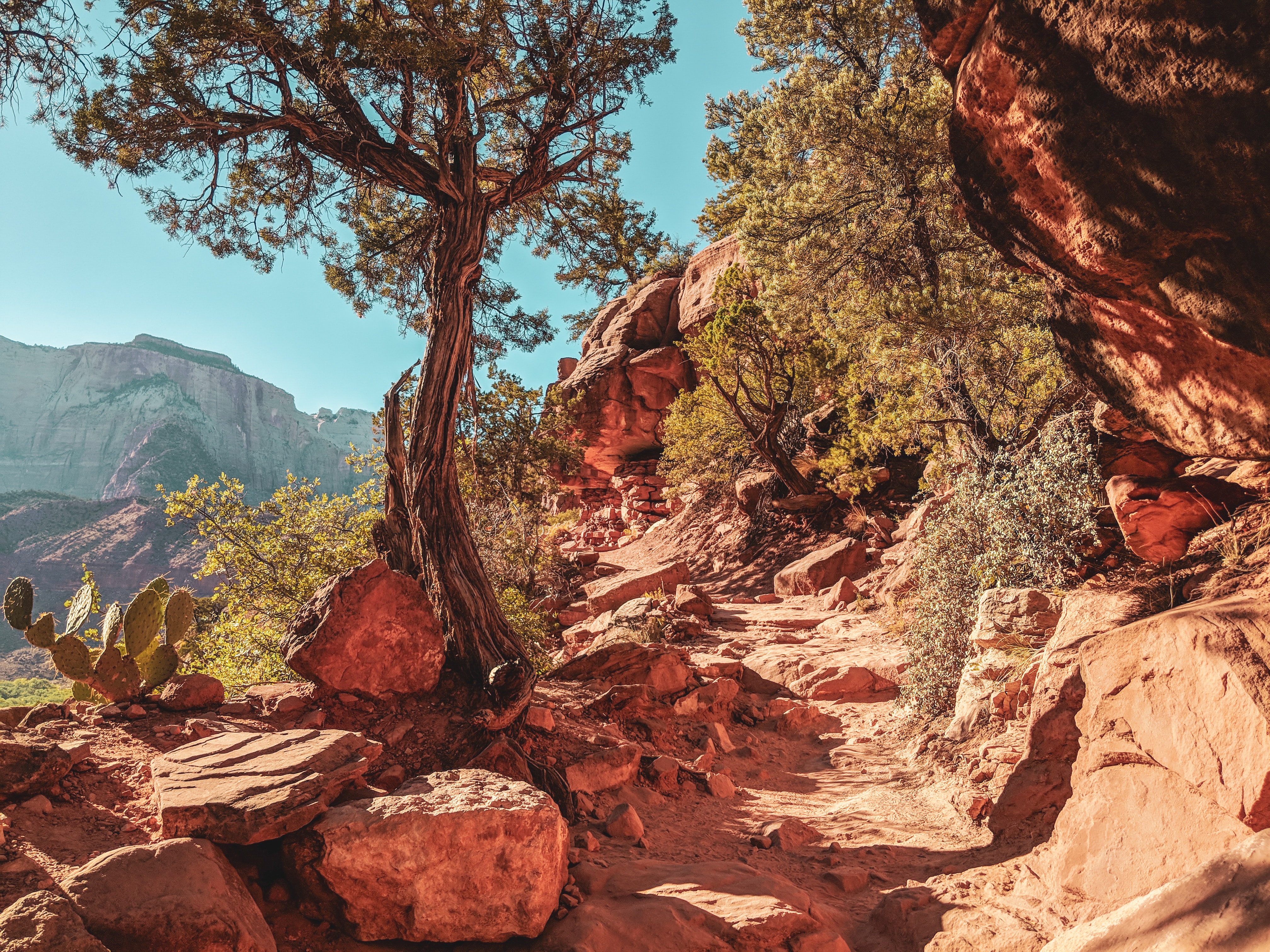 The hike trail at Zion National Park