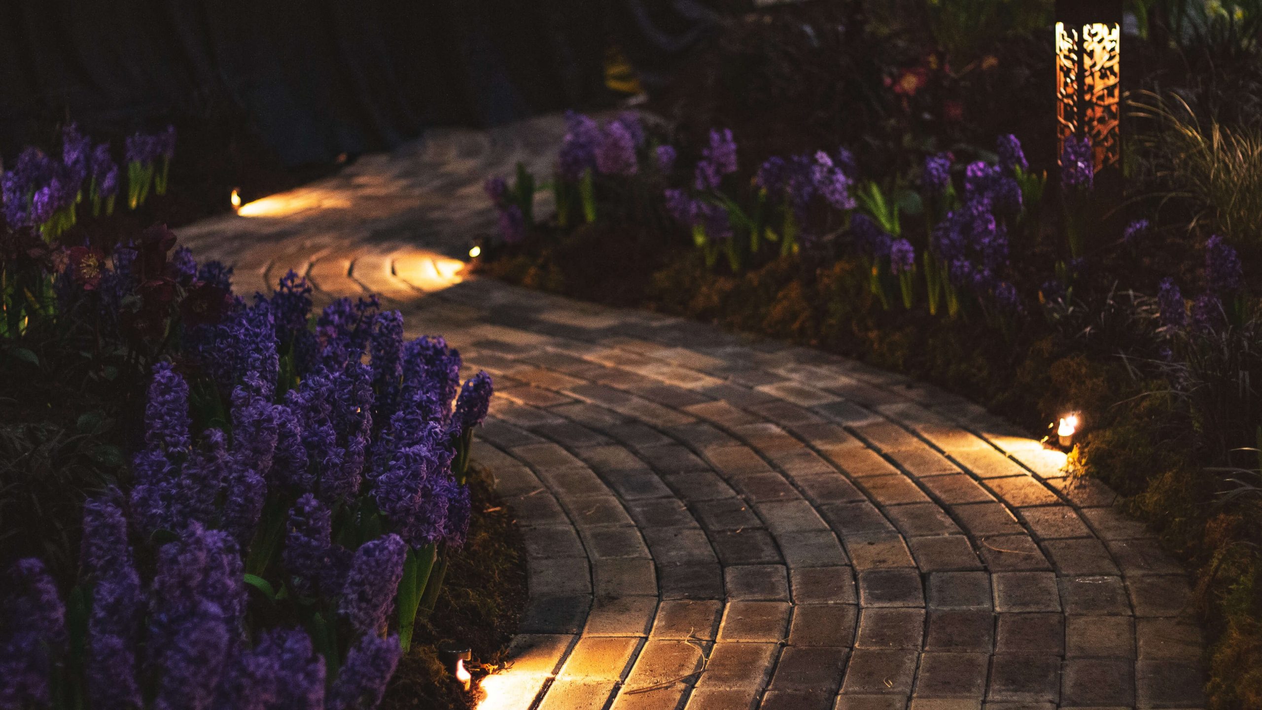 Lit up walkways - Installing outdoor lighting in the winter - Allyn White Electrical