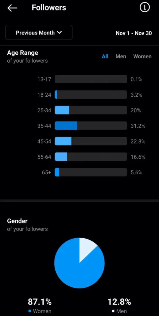 Instagram Insights Audience Demographics
