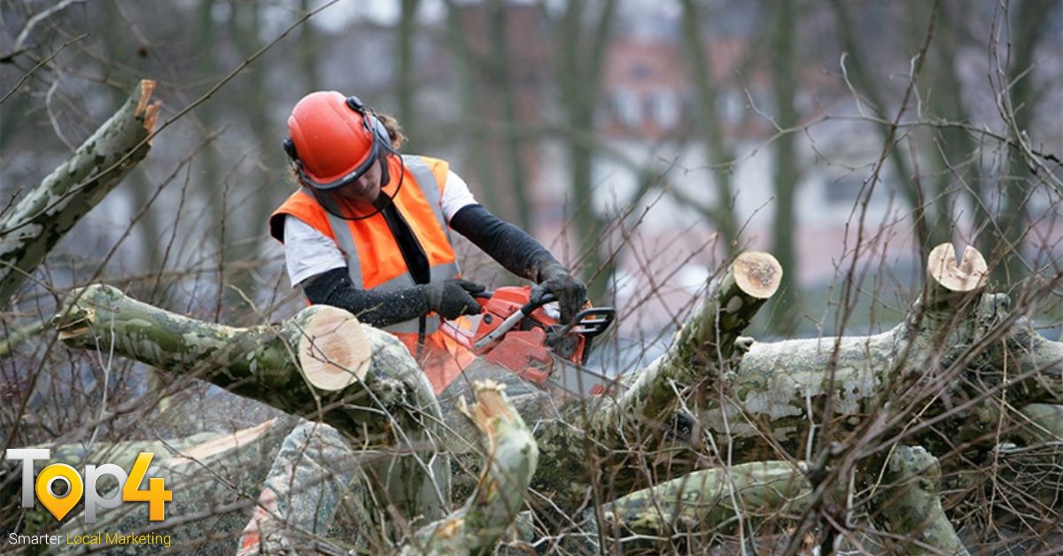 Potential Benefits Of Tree Removal Services