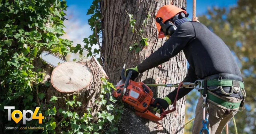 The Tree Removal Process Steps To Follow - Top4