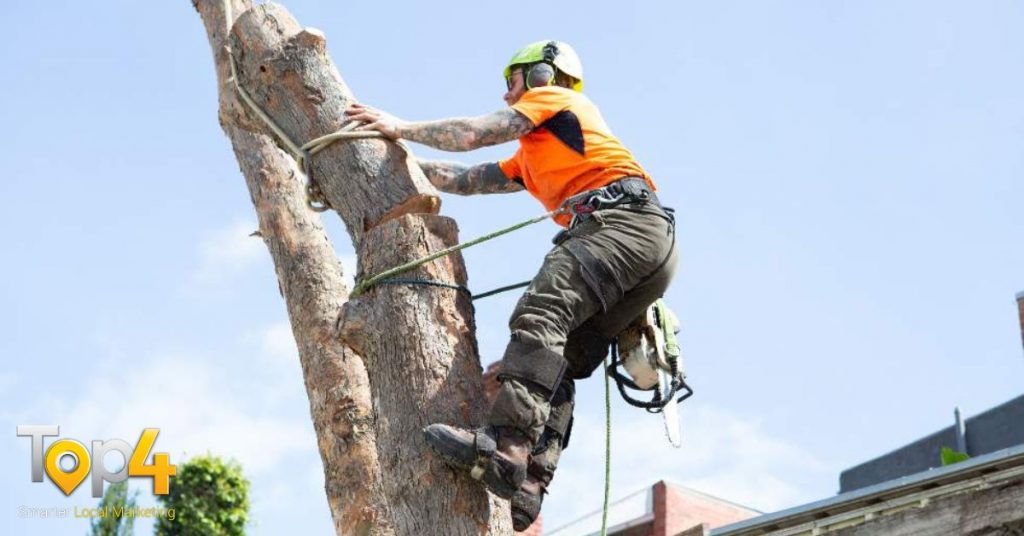 Why Tree Service Is an Important Part of Landscape Design - Top4