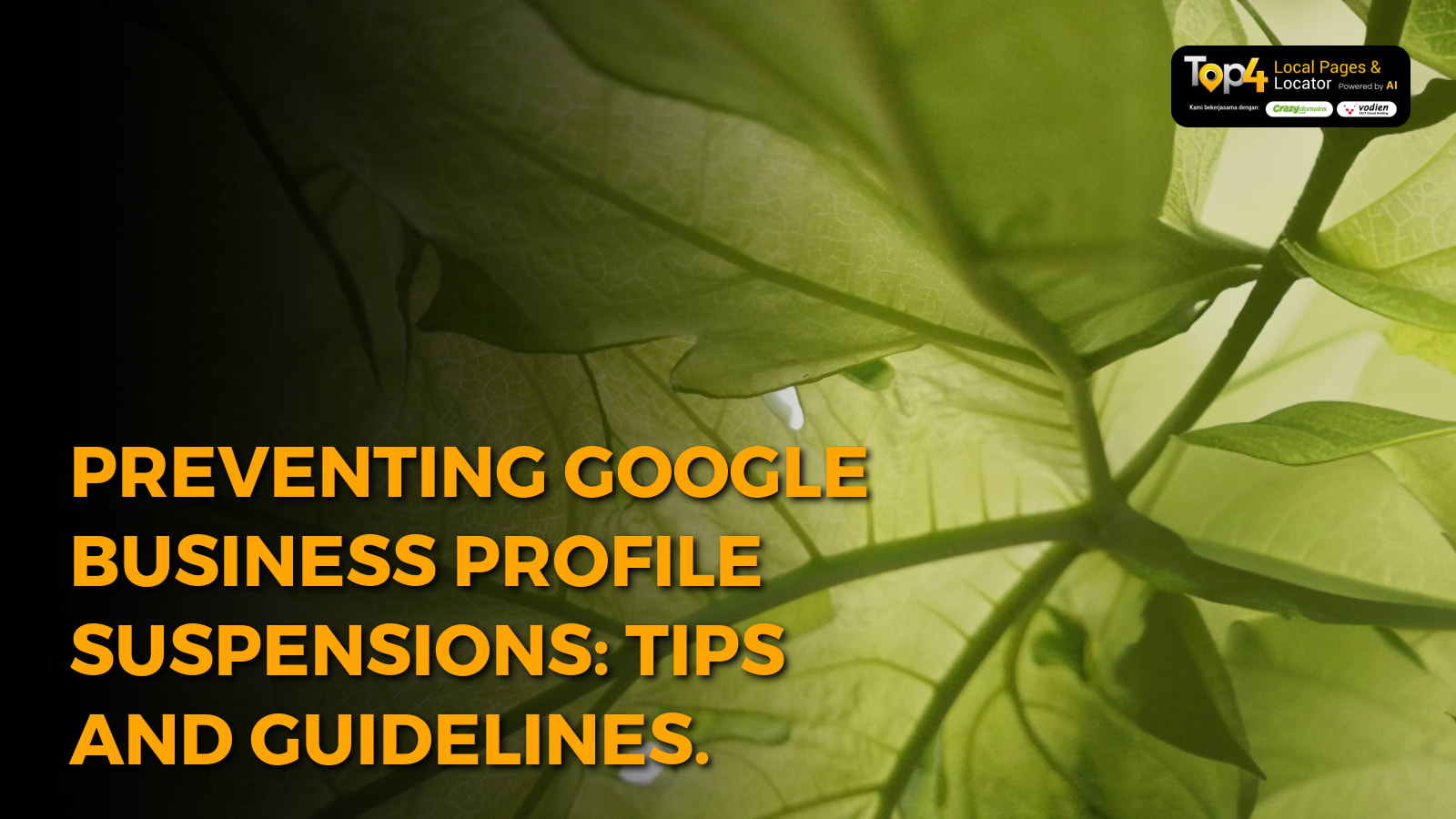 Preventing Google Business Profile Suspensions: Tips and Guidelines